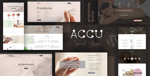 Accu – Healthcare, Massage WordPress Theme Nulled