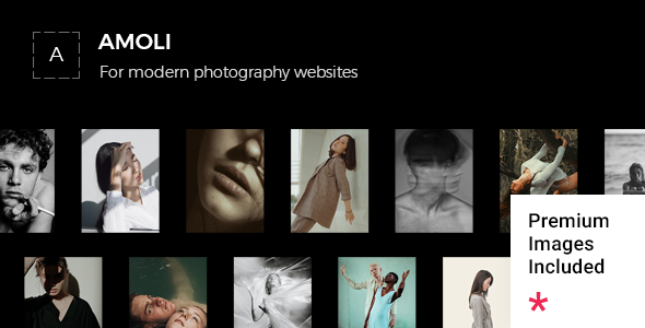 Amoli – Fashion Photography WordPress Theme Nulled