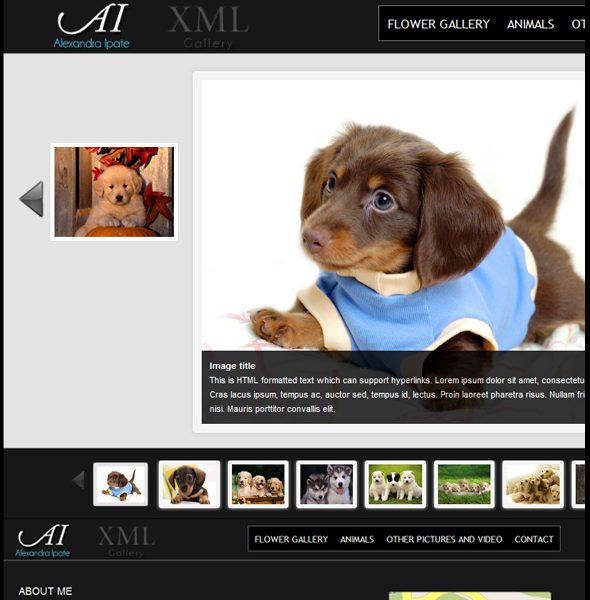 jQuery XML Media Gallery — images-and-media preview