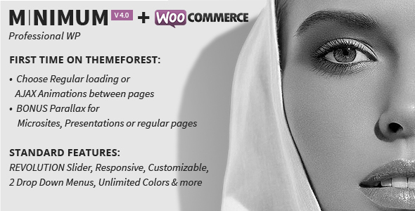 MINIMUM – Professional WordPress Theme Nulled
