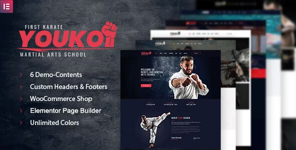 Youko – Martial Arts WordPress Theme Nulled