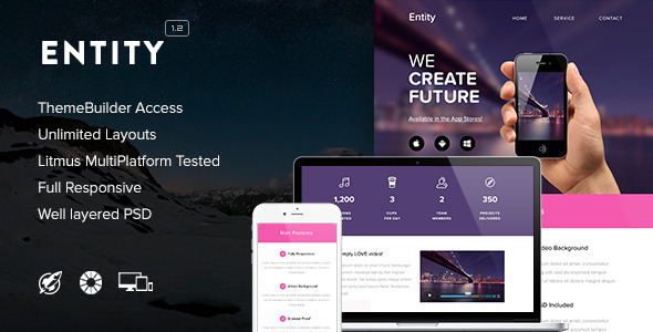 Entity – Responsive Email + Themebuilder Access Review