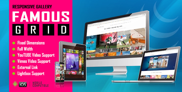 Famous Review: Responsive Image and Video Grid